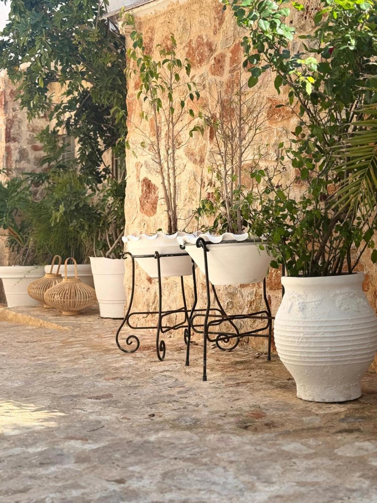 Pallas Seaside 1 Αθήνα Εξωτερικό φωτογραφία